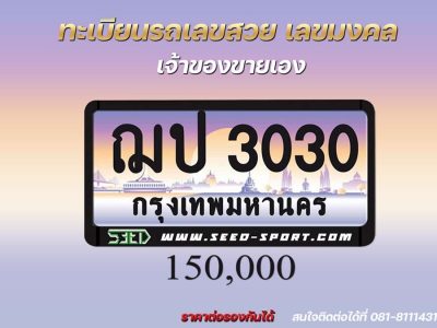 ป้ายทะเบียนกราฟฟิก เลขสวย(ฌป 3030)