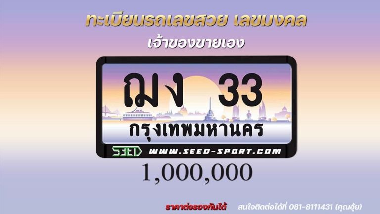 ป้ายทะเบียนกราฟฟิก เลขสวย(ฌง 33)