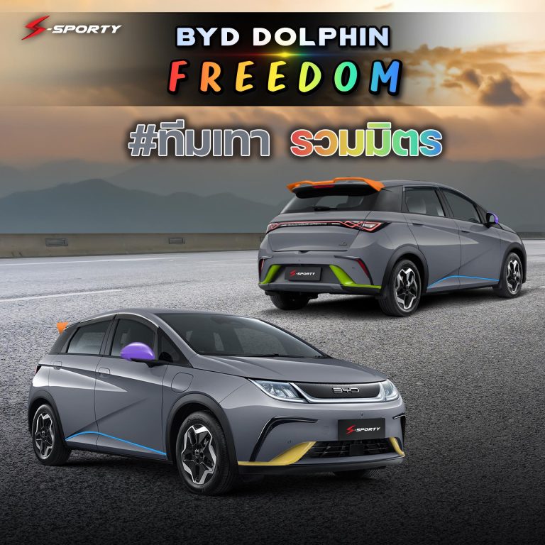 BYD DOLPHIN FREEDOM ทีม เทา