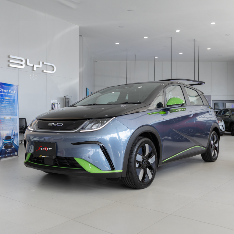 BYD Dolphin Freedom  Magic Grey