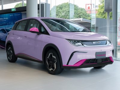 ชุดแต่ง Byd Dolphind Flora Purple