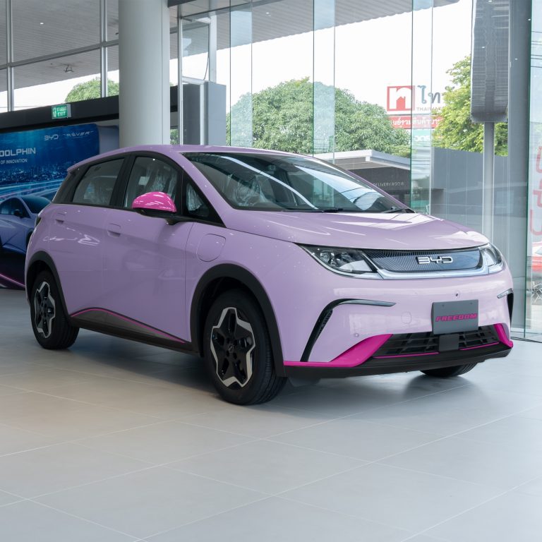 ชุดแต่ง Byd Dolphind Flora Purple