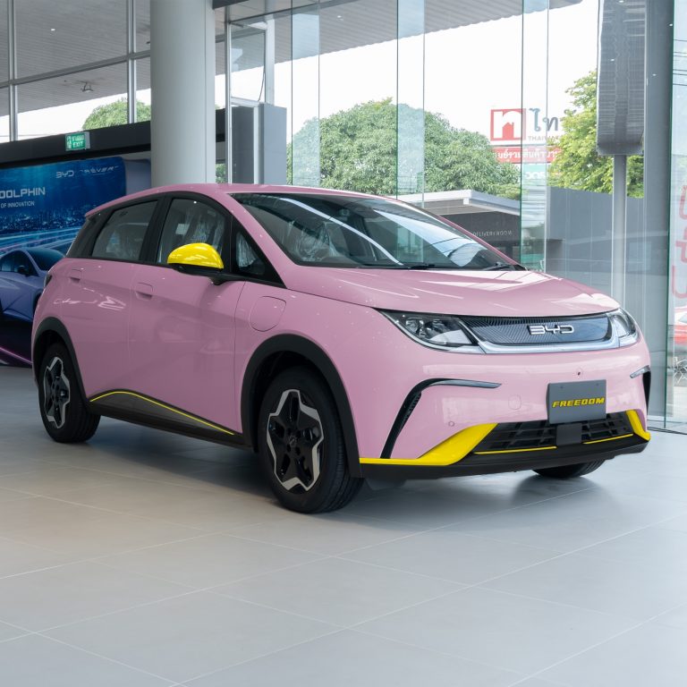 ชุดแต่ง Byd Dolphind Coral Pink